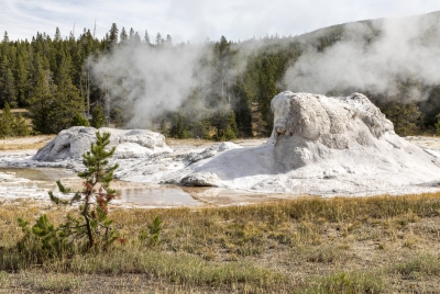 Old Faithful Geyser Area Yellowstone 2024
